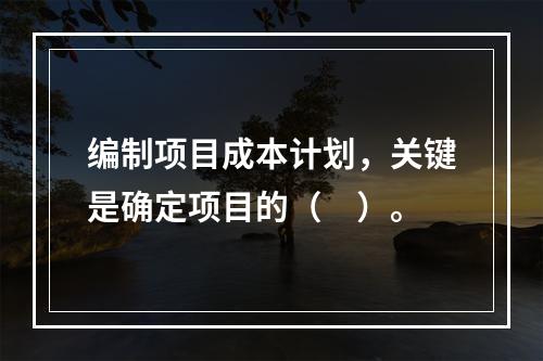 编制项目成本计划，关键是确定项目的（　）。