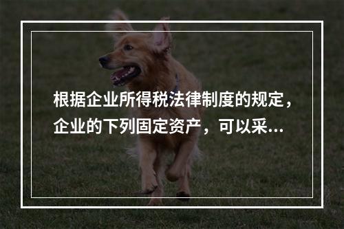 根据企业所得税法律制度的规定，企业的下列固定资产，可以采用加