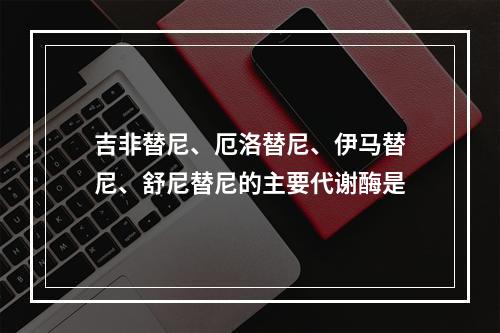 吉非替尼、厄洛替尼、伊马替尼、舒尼替尼的主要代谢酶是