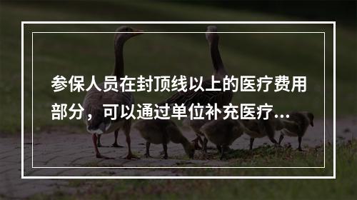 参保人员在封顶线以上的医疗费用部分，可以通过单位补充医疗保险