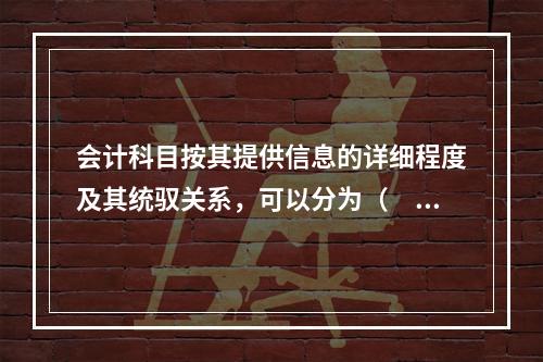 会计科目按其提供信息的详细程度及其统驭关系，可以分为（　　）