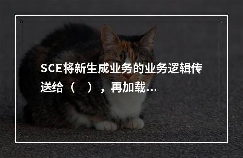 SCE将新生成业务的业务逻辑传送给（     ），再加载到S