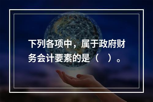 下列各项中，属于政府财务会计要素的是（　）。