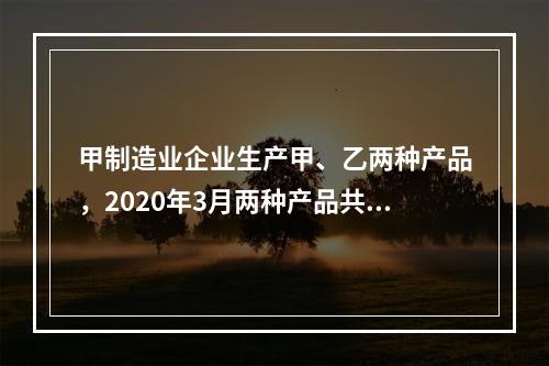 甲制造业企业生产甲、乙两种产品，2020年3月两种产品共同耗