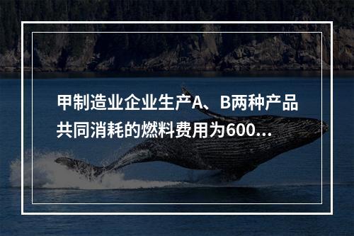 甲制造业企业生产A、B两种产品共同消耗的燃料费用为6000元