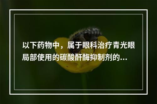 以下药物中，属于眼科治疗青光眼局部使用的碳酸酐酶抑制剂的是