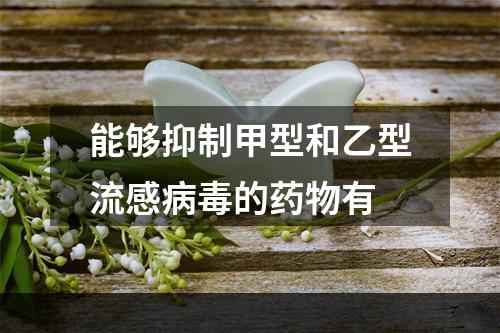 能够抑制甲型和乙型流感病毒的药物有