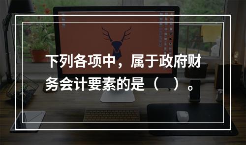 下列各项中，属于政府财务会计要素的是（　）。