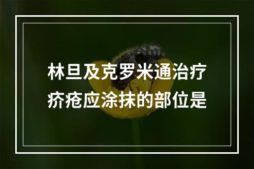 林旦及克罗米通治疗疥疮应涂抹的部位是