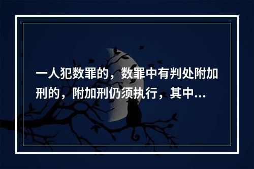 一人犯数罪的，数罪中有判处附加刑的，附加刑仍须执行，其中附加