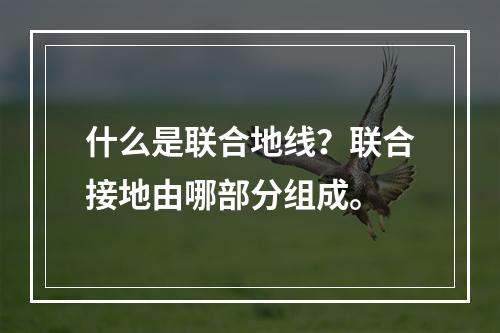 什么是联合地线？联合接地由哪部分组成。