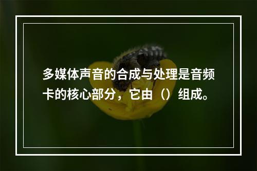 多媒体声音的合成与处理是音频卡的核心部分，它由（）组成。