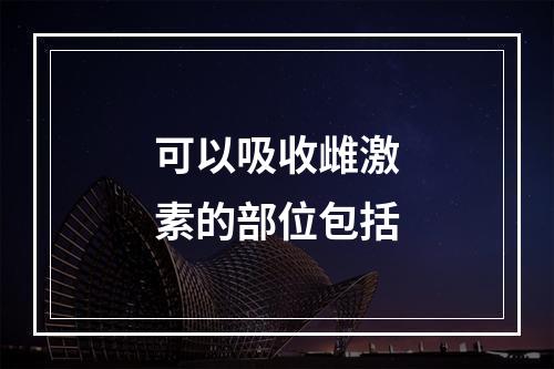 可以吸收雌激素的部位包括