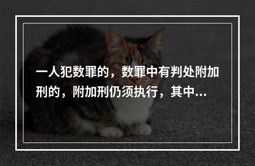 一人犯数罪的，数罪中有判处附加刑的，附加刑仍须执行，其中附加