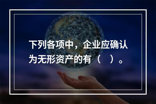 下列各项中，企业应确认为无形资产的有（　）。