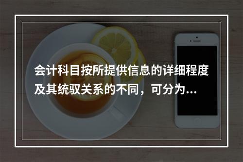 会计科目按所提供信息的详细程度及其统驭关系的不同，可分为（