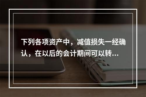 下列各项资产中，减值损失一经确认，在以后的会计期间可以转回的