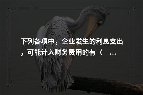 下列各项中，企业发生的利息支出，可能计入财务费用的有（　）。