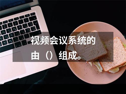 视频会议系统的由（）组成。