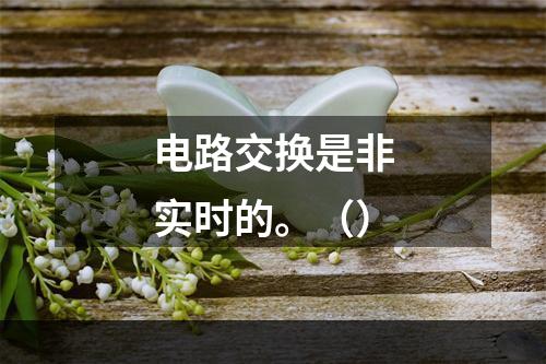 电路交换是非实时的。（）