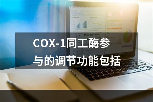 COX-1同工酶参与的调节功能包括