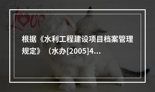 根据《水利工程建设项目档案管理规定》（水办[2005]480