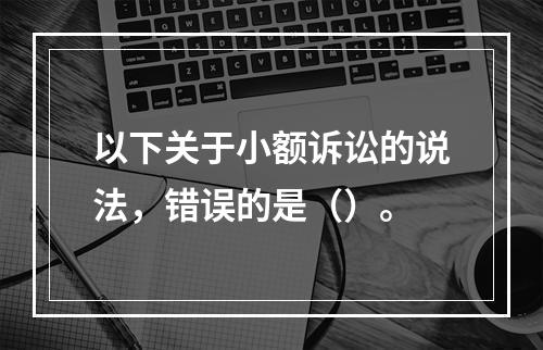 以下关于小额诉讼的说法，错误的是（）。