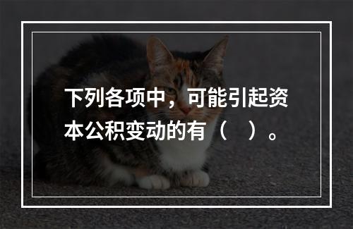 下列各项中，可能引起资本公积变动的有（　）。