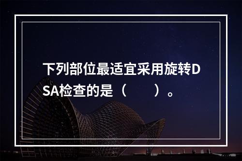 下列部位最适宜采用旋转DSA检查的是（　　）。