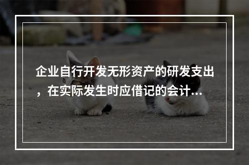 企业自行开发无形资产的研发支出，在实际发生时应借记的会计科目