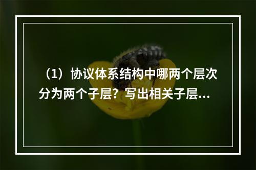 （1）协议体系结构中哪两个层次分为两个子层？写出相关子层的名