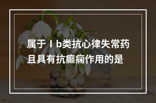 属于Ⅰb类抗心律失常药且具有抗癫痫作用的是