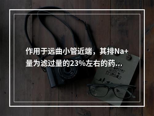 作用于远曲小管近端，其排Na+量为滤过量的23%左右的药物是