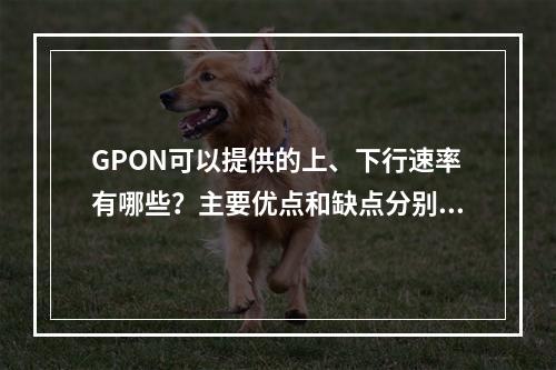 GPON可以提供的上、下行速率有哪些？主要优点和缺点分别是什