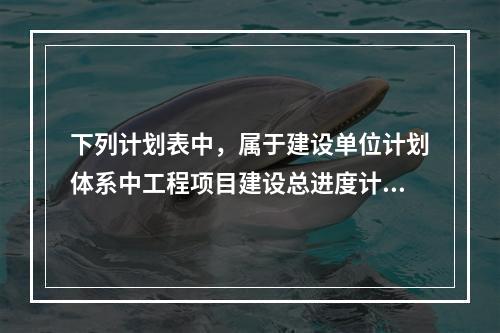 下列计划表中，属于建设单位计划体系中工程项目建设总进度计划的