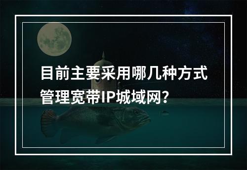 目前主要采用哪几种方式管理宽带IP城域网？