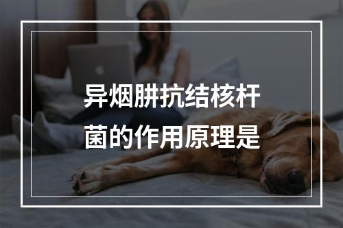 异烟肼抗结核杆菌的作用原理是