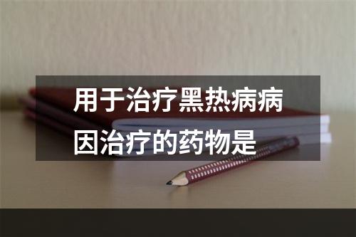 用于治疗黑热病病因治疗的药物是