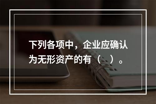 下列各项中，企业应确认为无形资产的有（　）。