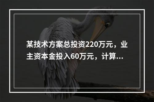 某技术方案总投资220万元，业主资本金投入60万元，计算期为