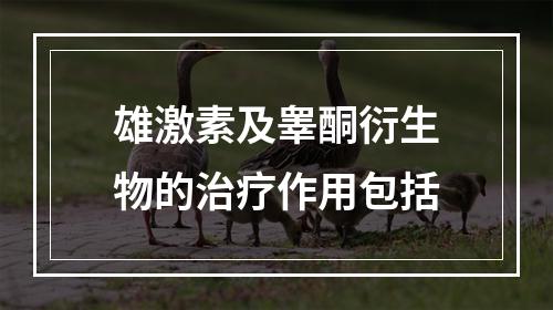 雄激素及睾酮衍生物的治疗作用包括