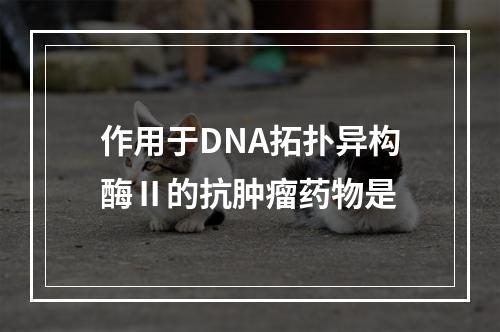 作用于DNA拓扑异构酶Ⅱ的抗肿瘤药物是