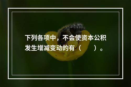 下列各项中，不会使资本公积发生增减变动的有（　　）。