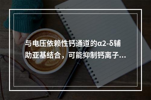 与电压依赖性钙通道的α2-δ辅助亚基结合，可能抑制钙离子内流