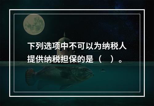 下列选项中不可以为纳税人提供纳税担保的是（　）。