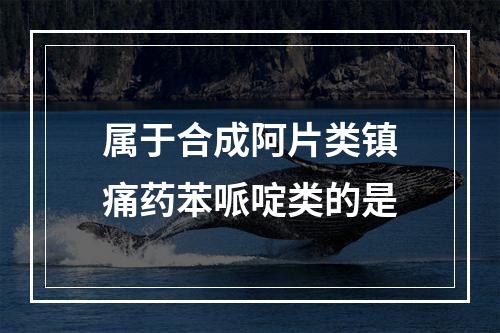 属于合成阿片类镇痛药苯哌啶类的是