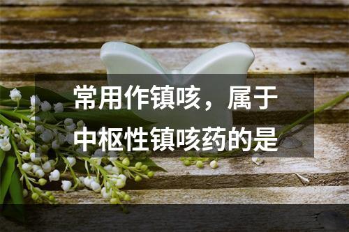 常用作镇咳，属于中枢性镇咳药的是