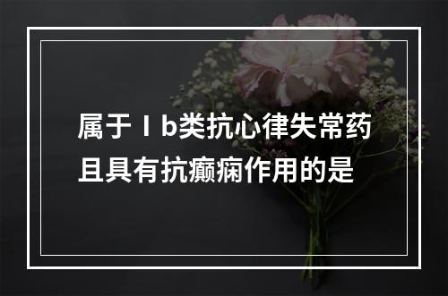 属于Ⅰb类抗心律失常药且具有抗癫痫作用的是