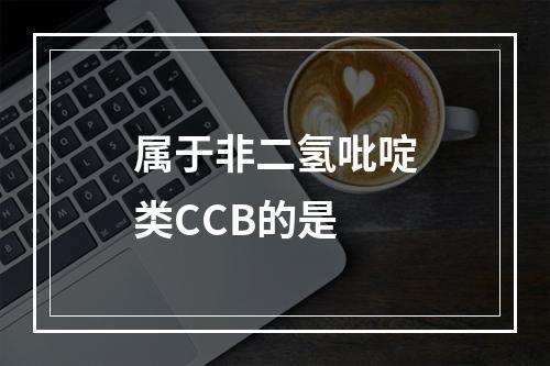 属于非二氢吡啶类CCB的是