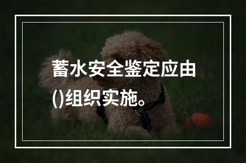 蓄水安全鉴定应由()组织实施。